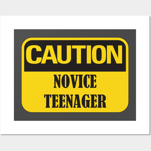 Caution Novice Teenager, Funny 13th Birthday Gift Idea Wall Art by Rossla Designs